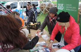 Pokaż zdjęcie: Stoisko ZUS 