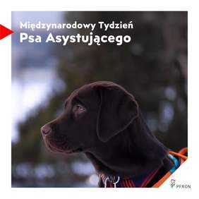 Pokaż zdjęcie: Zdjęcie jest infografiką, na której znajduje się wizerunek psa. U góry figuruje tekst: Międzynarodowy Tydzień Psa Asystującego. W prawym dolnym rogu znajduje sie logo PFRON. 