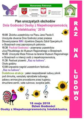 Pokaż zdjęcie: Plan obchodów Dnia Godności Osoby z Niepełnosprawnością Intelektualną 2018