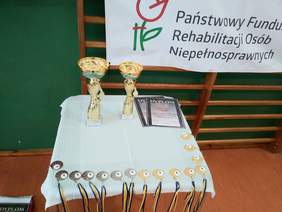 Pokaż zdjęcie: Medale, puchary i dyplomy dla uczestników Turnieju