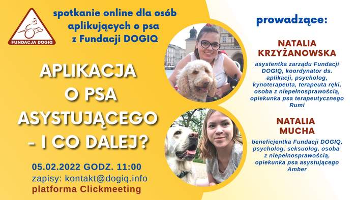 Pokaż zdjęcie: Plakat zawiera informacje dotyczącą spotkania dla chcących skorzystać z psa asystenta. Zapisy i więcej informacji pod adresem email: kontakt@dogiq.info