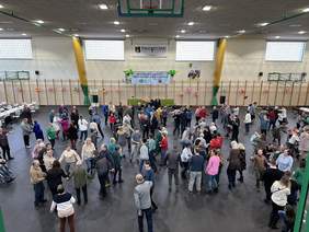 Pokaż zdjęcie: Na środku Sali gimnastycznej tańczy dużo osób. Podłoga sali jest szara ściany jasne, nan ich zamontowane drabinki na których wiszą balony.