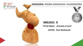 Pokaż zdjęcie: 