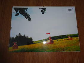 2 miejsce w kategorii fotografia i film