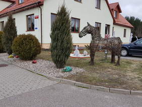 Pokaż zdjęcie: 