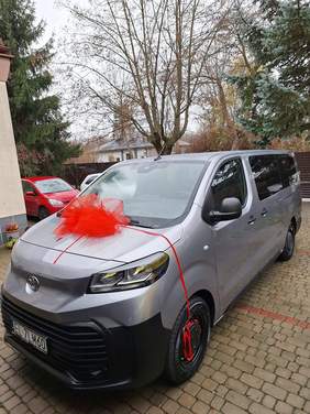 Pokaż zdjęcie: Na podjeździe stoi samochód. Jest udekorowany piękną czerwoną kokardą. W tle widać inne samochody i budynek. 