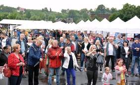 Pokaż zdjęcie: Uczestnicy Małopolskiego Festiwalu Smaku