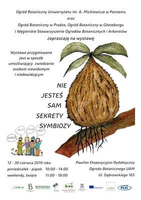 Pokaż zdjęcie: Plakat promujący wystawę w Ogrodzie Botanicznym w Poznaniu dostępną dla osób z niepełnosprawnością wzroku