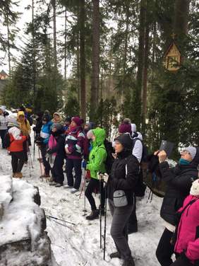 Pokaż zdjęcie: Wyjazd trekkingowy do Zakopanego zorganizowany przez Poznańskie Towarzystwo ,,Amazonki”