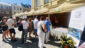 Pokaż zdjęcie: Zdjęcie stoisk wystawców, przed stoiskami stoją oglądający i kupujący, ładna słoneczna pogoda.