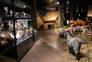 Jedna z sal ekspozycyjnych  muzeum 