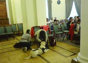 Pokaż zdjęcie: Dwie osoby z psami przewodnikami