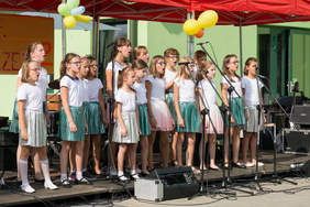 Pokaż zdjęcie: Występ wokalny