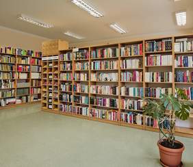 Pokaż zdjęcie: Dwa regały z książkami ustawione są prostopadle do siebie, a przed nimi ustawiona została duża monstera w doniczce. Na suficie pomieszczenia zamontowane jest oświetlenie LED. 