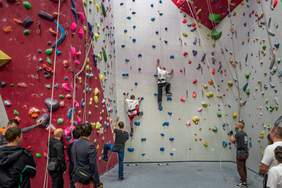 Pokaż zdjęcie: Ścianka wspinaczkowa