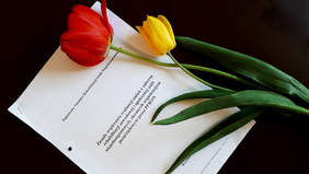 Pokaż zdjęcie: spotkanie konsultacyjne z zadań zlecanych