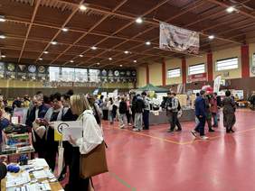 Pokaż zdjęcie: Ludzie odwiedzający stoiska instytucji podczas targów w hali sportowej.