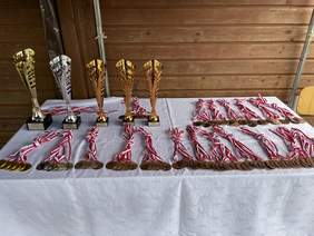 Pokaż zdjęcie: Na stole przykrytym białym obrusem stoi 5 pucharów złoty, srebrny i 3 brązowe oraz medale. 6 złotych 6 srebrnych i wiele brązowych.