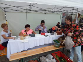 Pokaż zdjęcie: Targi Ekonomii Społecznej w Katowicach