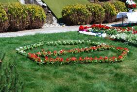 Pokaż zdjęcie: Kwiatowa mapa Polski pod Ołtarzem Papieskim