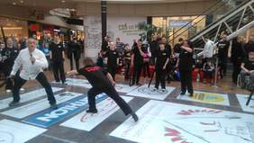 Pokaż zdjęcie: pokazy szermierki klasycznej GO-NOW podopiecznych Stowarzyszenia