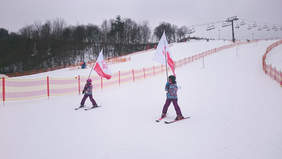 Pokaż zdjęcie: Świętokrzyski Mityng Narciarstwa Zjazdowego