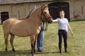 Pokaż zdjęcie: przejażdżki konne w ramach zajęć z hipoterapii