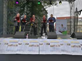 Pokaż zdjęcie: XVII Opolskie Dni Osób Niepełnosprawnych