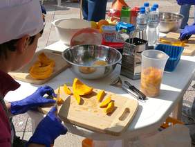 Pokaż zdjęcie: XVII Opolskie Dni Osób Niepełnosprawnych