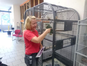 Pokaż zdjęcie: w hoteliku dla zwierząt 