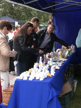 Pokaż zdjęcie: XVII Opolskie Dni Osób Niepełnosprawnych