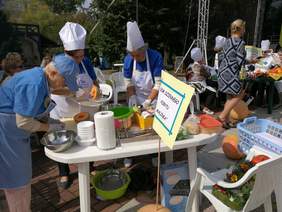 Pokaż zdjęcie: XVII Opolskie Dni Osób Niepełnosprawnych