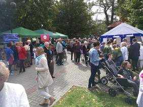 Pokaż zdjęcie: XVII Opolskie Dni Osób Niepełnosprawnych