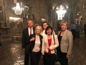 Pokaż zdjęcie: Wyjazdowe posiedzenie Komisji Polityki Społecznej i Rodziny Sejmu RP w Wieliczce