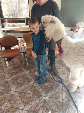 Pokaż zdjęcie: Warsztaty ze zwierzętami 