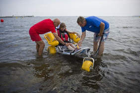 Pokaż zdjęcie: Amfibia - fot. Krzysztof MystkowskiKFP