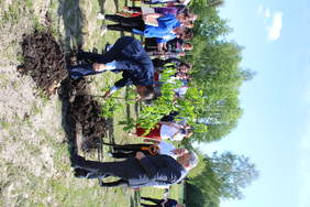 Pokaż zdjęcie: Dwóch mężczyzn w garniturze sadzi dąb, z tyłu duża grupa ludzi