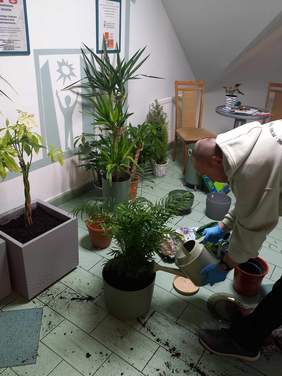 Pokaż zdjęcie: Mężczyzna przesadza kwiaty doniczkowe. Na podłodze rozsypana jest ziemia. Ponadto pan podlewa konewką doniczkę z kwiatem. 