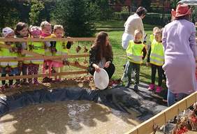 Pokaż zdjęcie: Płukanie złota