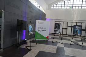 Pokaż zdjęcie: Wystawa obrazów.