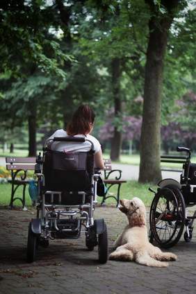 Pokaż zdjęcie: Na tle fragmentu praku z ławeczką w centralnej części zdjęcia znajduje się tyłem siedząca dziewczyna na wózku, obok leży pies asystent. 
