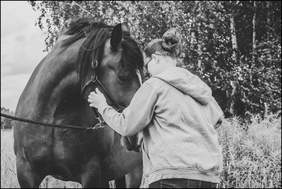 Pokaż zdjęcie: Na łące stoi ciemny koń naprzeciw niego stoi dziewczyna w bluzie z kapturem. Trzyma go za lejce patrzy mu w oczy. W tle wysoka trawa i drzewa.