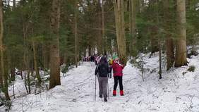 Pokaż zdjęcie: Wyjazd trekkingowy do Zakopanego zorganizowany przez Poznańskie Towarzystwo ,,Amazonki”