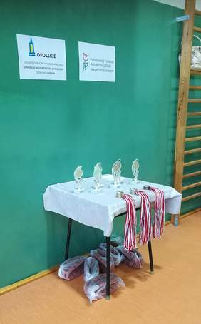 Pokaż zdjęcie: Medale i statuetki dla zwycięzców