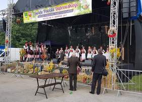 IX Święto Powiśla Dąbrowskiego – Dożynki Powiatowe i Targi Gospodarcze