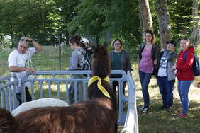 Pokaż zdjęcie: W parku wśród drzew na zielonej trawie stoi grupa osób przy szarym plastikowym ogrodzeniu za którym stoi lama z przewiązaną na szyi żółtą. O ogrodzenie opiera się mężczyzna w białej koszulce z nadrukiem poprawia okulary przeciwsłoneczne, kt