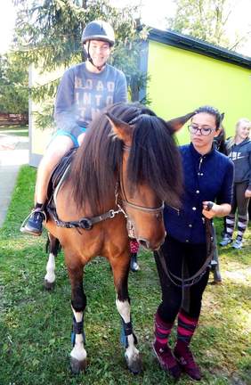 Pokaż zdjęcie: Konie