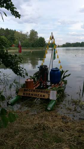 Pokaż zdjęcie: Wehikuł pływający