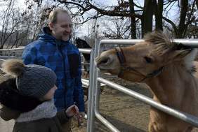 Koń o imieniu Magia wita gości