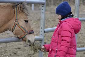 Dziewczynka karmi konia